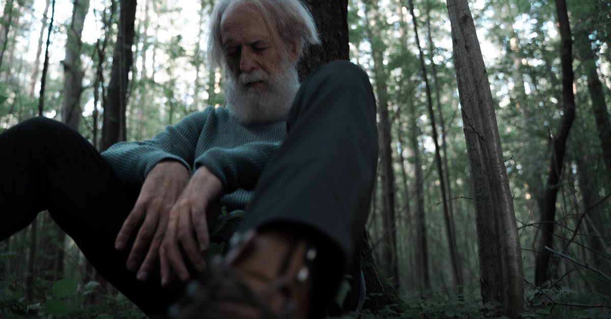 The lost colony of Roanoke site - Man in Black Long Sleeve Shirt Sitting on Tree