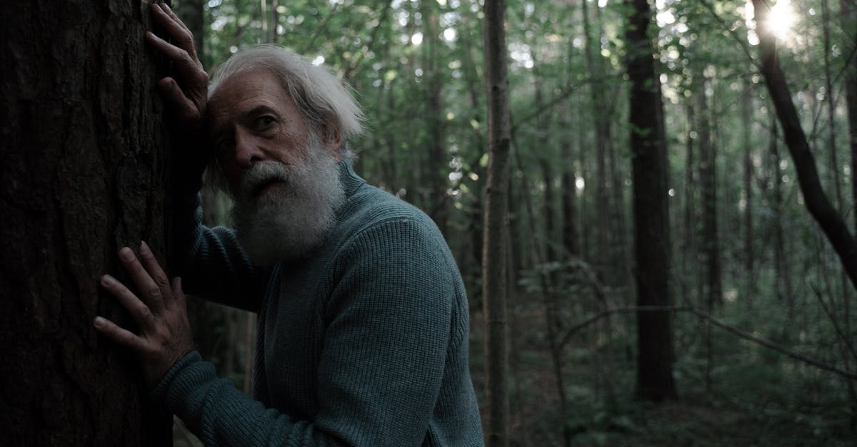 The lost colony of Roanoke site - Man in Gray Sweater Standing Near Trees