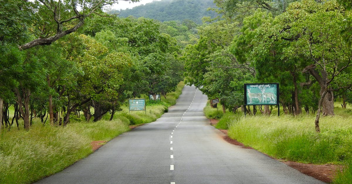 Theft insurance in India - Gray Concrete Road Between Green Trees