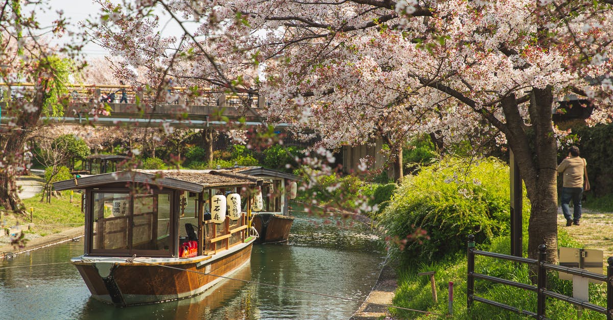 Theme parks about Japan outside of Japan - Picturesque scenery of calm river channel with floating oriental boats located in green park with Cherry blossom in sunny day