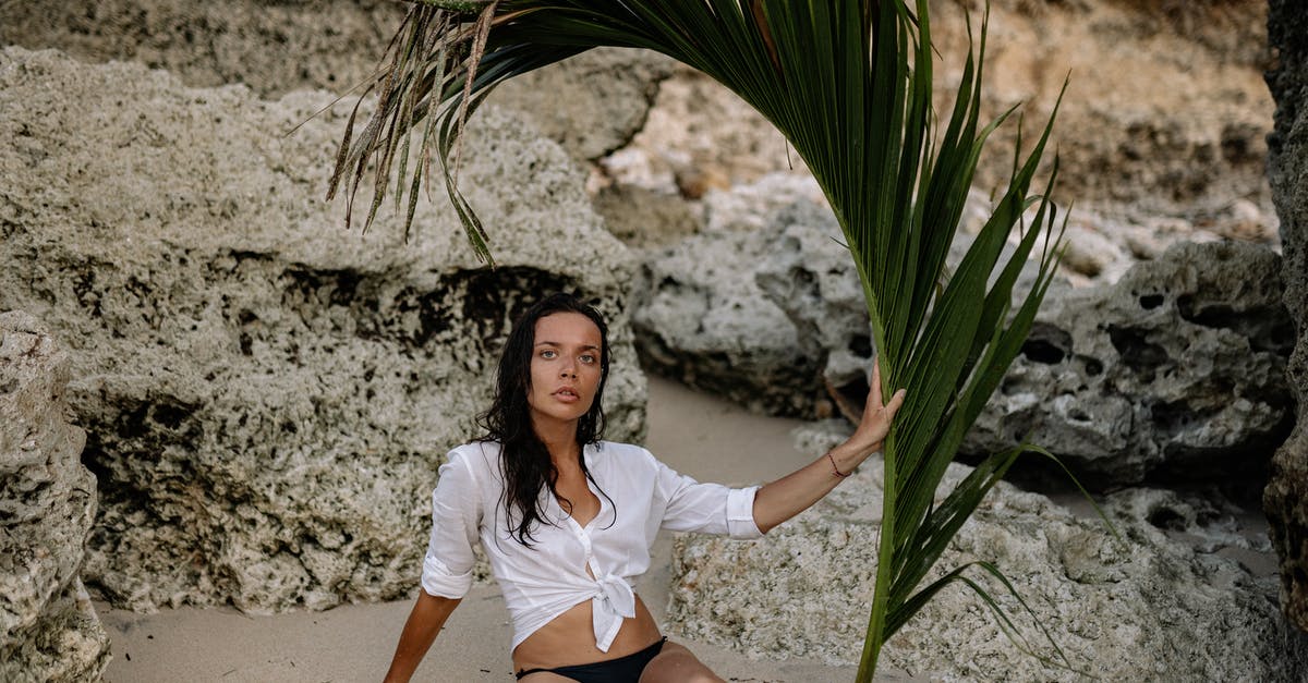 Things required for nice beach experience [closed] - Woman sitting on sandy shore with palm branch