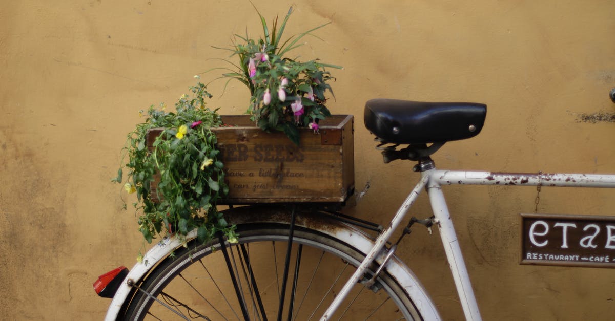 Things to see by bicycle in the Camargue [closed] - White and Black Road Bike Beside Brown Wooden Wall