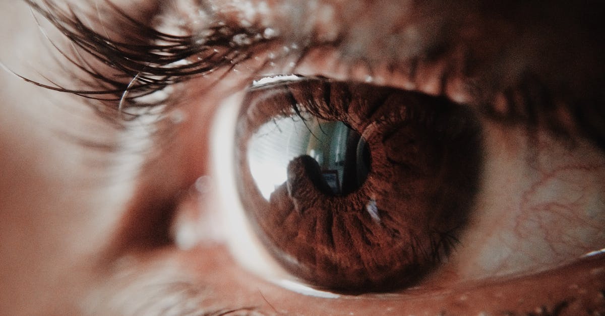 Things to see by bicycle in the Camargue [closed] - Brown Human Eye