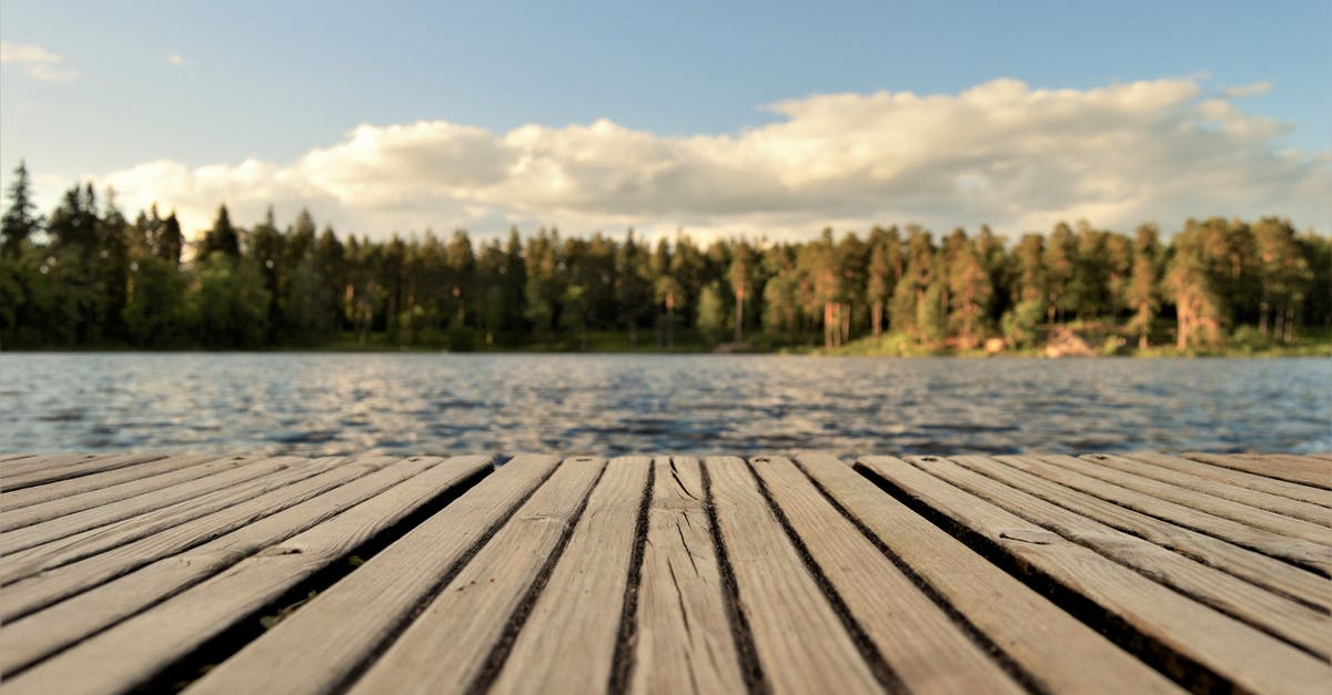 Things to see in the North Sweden in November [closed] - Green Leafed Trees