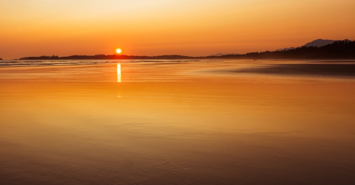 Things to see/do between Victoria and Ucluelet on Vancouver Island? - Body of Water during Sunset