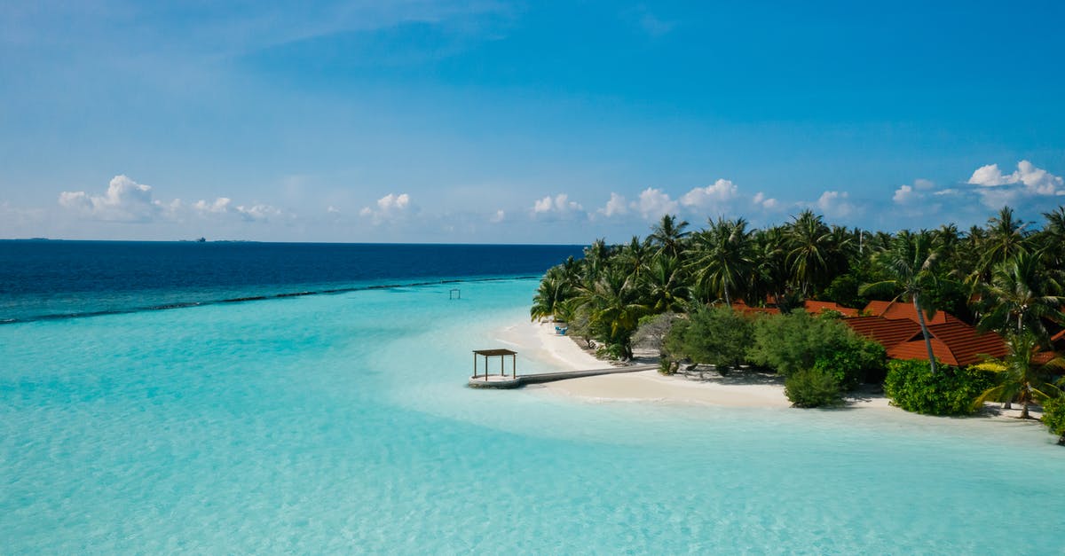 Three Mile Island visit - Green Palm Trees on White Sand Beach