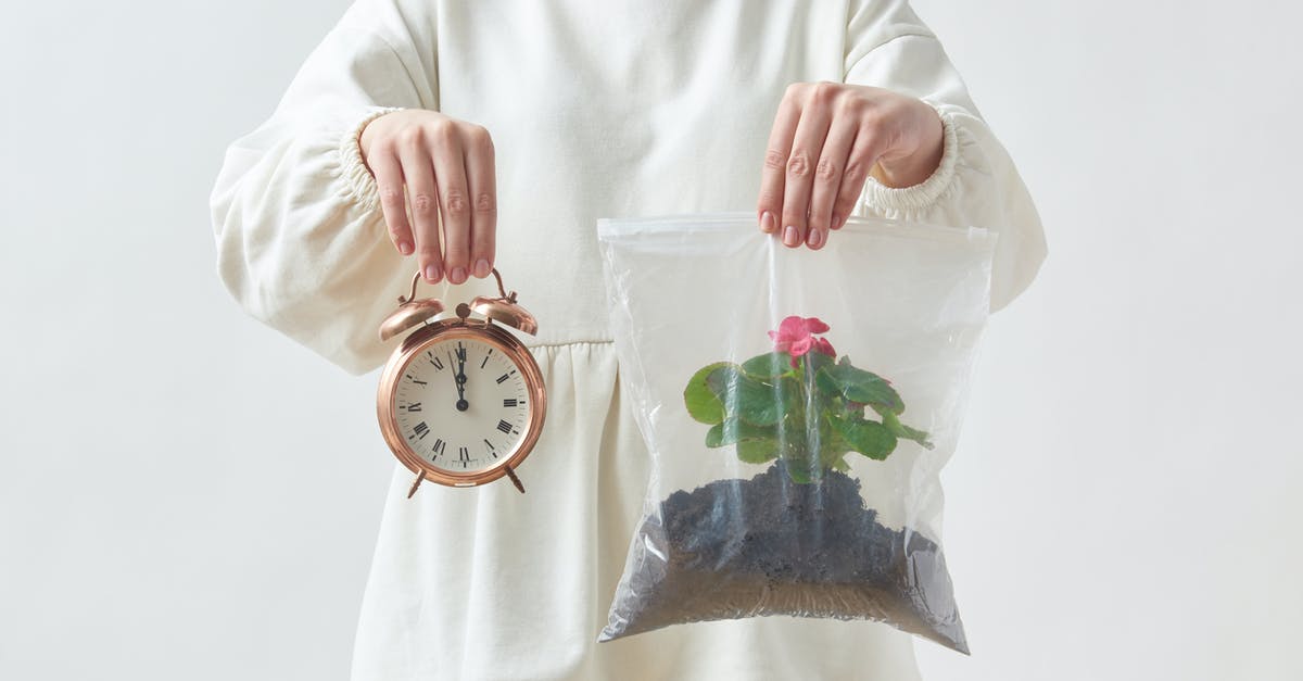 Time to Recheck Bag? - Woman Holding a Clock and a Plant in Plastic Bag 