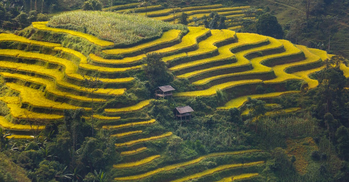 Tips for getting a visa when there's no embassy in one's country of residence - Green Stair Rice Field