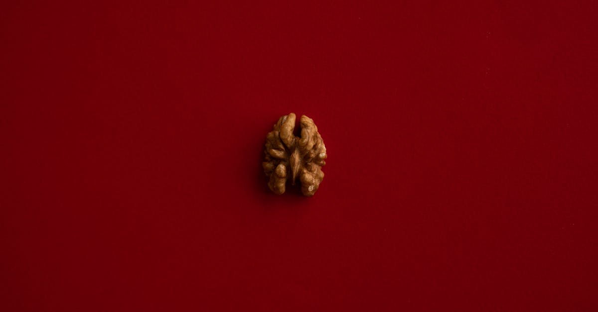 TLS visa center ukvi mup product - Half of walnut kernel in center of red background