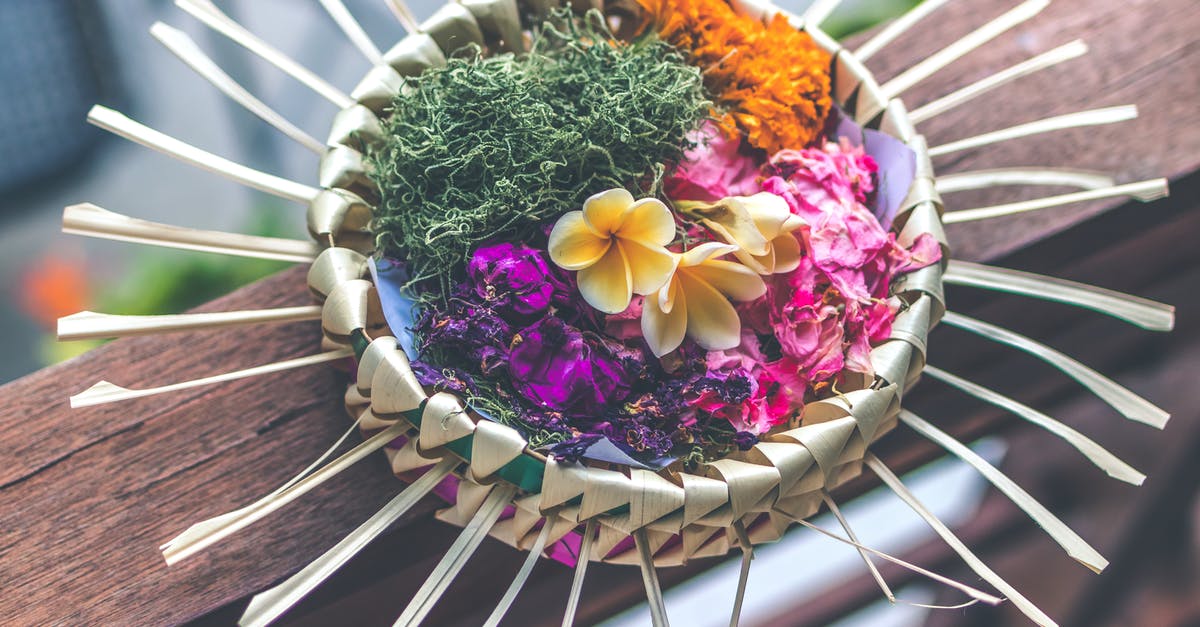 Toronto Airport (YYZ) to Sanur Bali Indonesia - Shallow Focus Photography of Multicolored Floral Decor