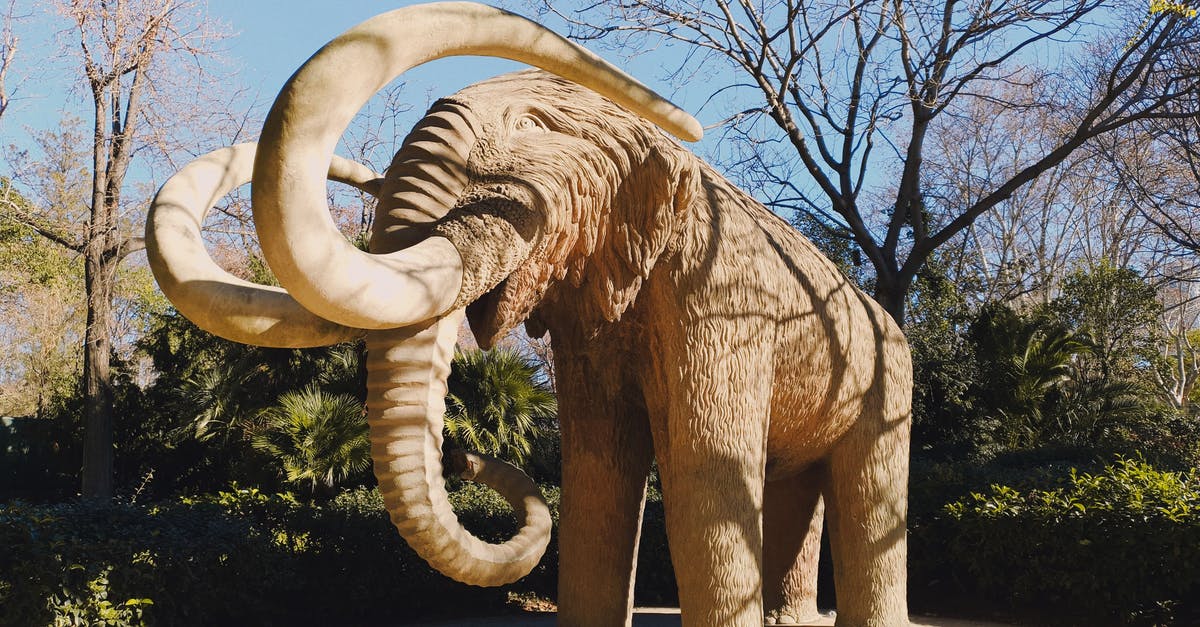 Touring the Large Hadron Collider [duplicate] - Brown Elephant Statue on Road