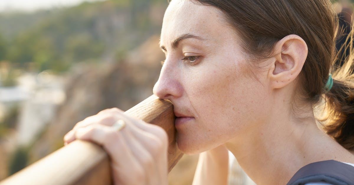 Tourist Schengen Visa Sponsorship Queries? [closed] - Woman Standing in Front of Brown Wood Plank