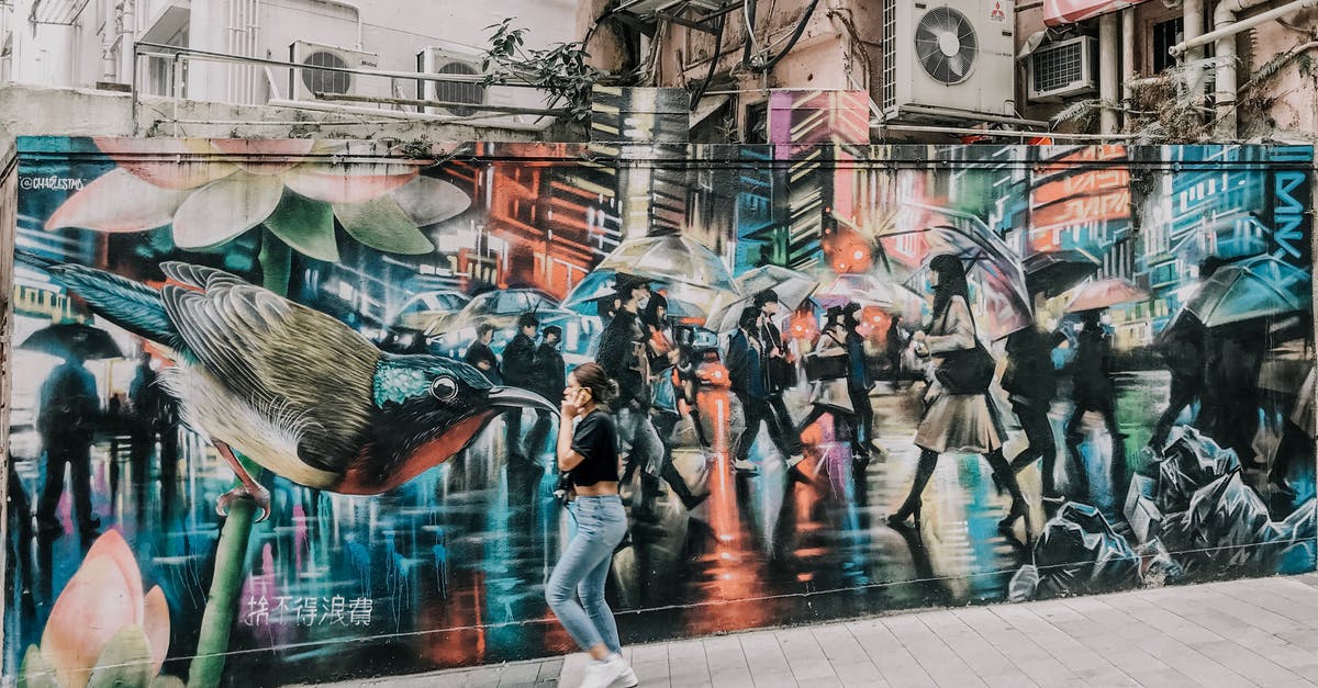 Tourist visa for Hong Kong as an Indian - Woman Walking Near Graffiti Wall