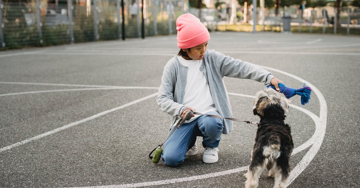 Train from Nice to Monaco during Grand Prix weekend - Ethnic kid showing command to intelligent dog while squatting on asphalt pavement in city