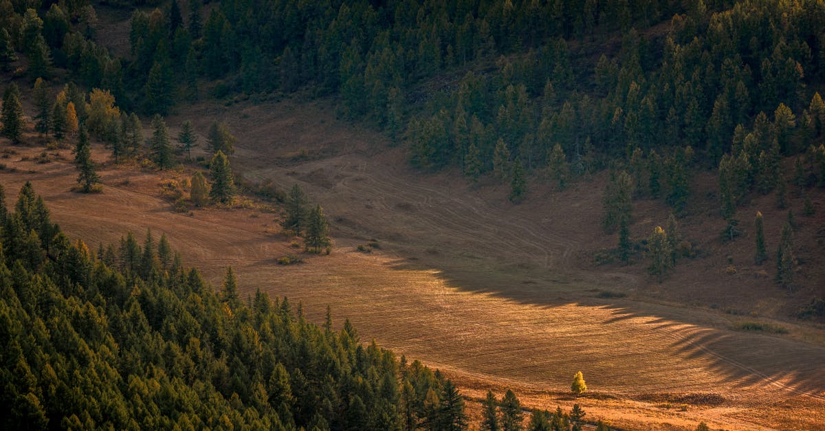 Transfer between Trysil and Scandinavian Mountains Airport - View on Wide Deforested Valley Between Forested Slopes of Mountain