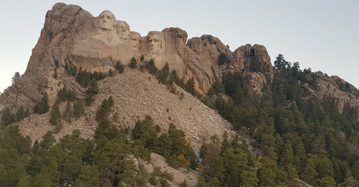 Transfer from Washington National (DCA) to Washington Dulles(IAD) - Wonderful scenery of Rushmore Mount with large sculptures of USA presidents carved on slope and covered with lush green forest