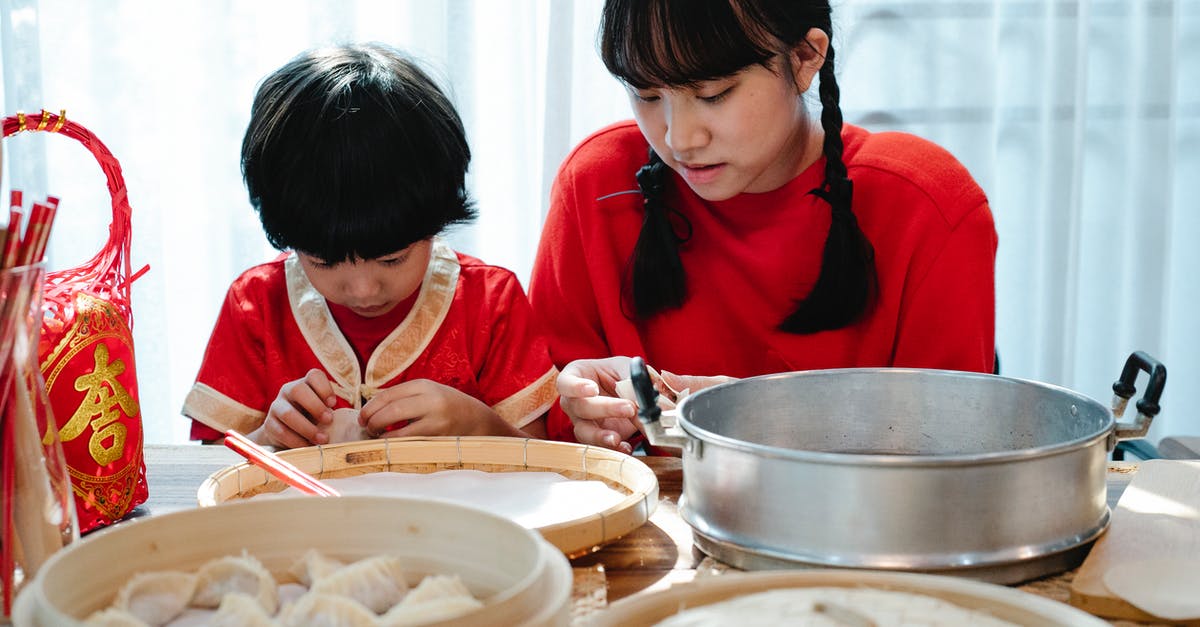 Transit time in Amsterdam for Chinese citizens [closed] - Siblings Learning How to Make Dumplings