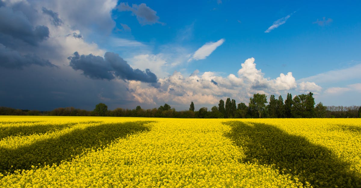 Transit Visa for Ukraine - Green Field Under White and Blue Clouds during Daytime