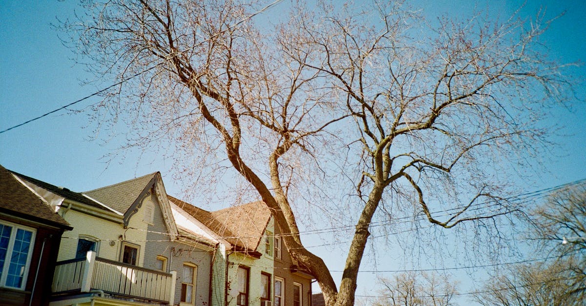 Transit visa for US permanent resident travelling thru Toronto - Bare Tree