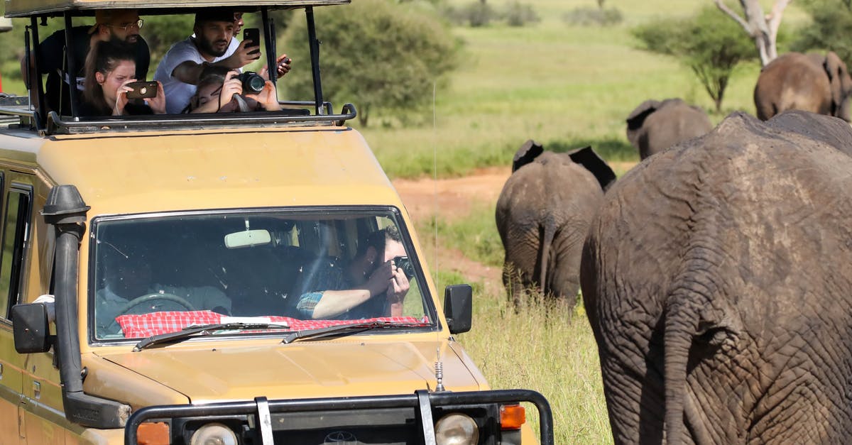 Transit Visas for South Africa Undesirable-Overstay Tourists - Brown and Black Jeep Wrangler