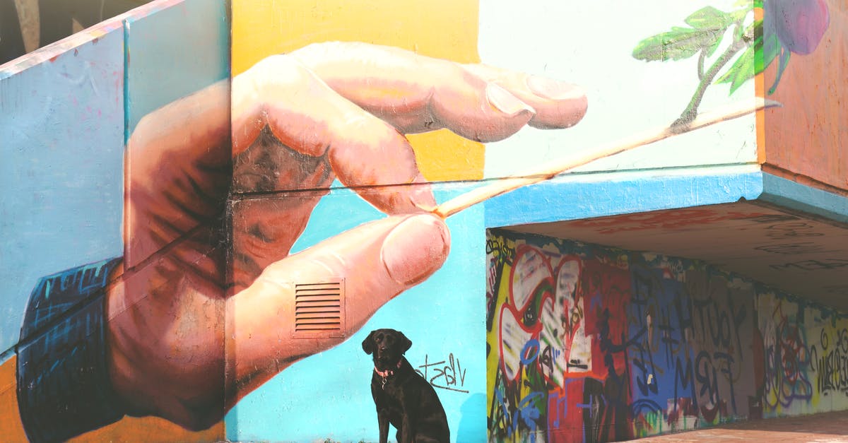 Transpacific travel with dog - Short-coated Black Dog Sitting Near Wall Arts