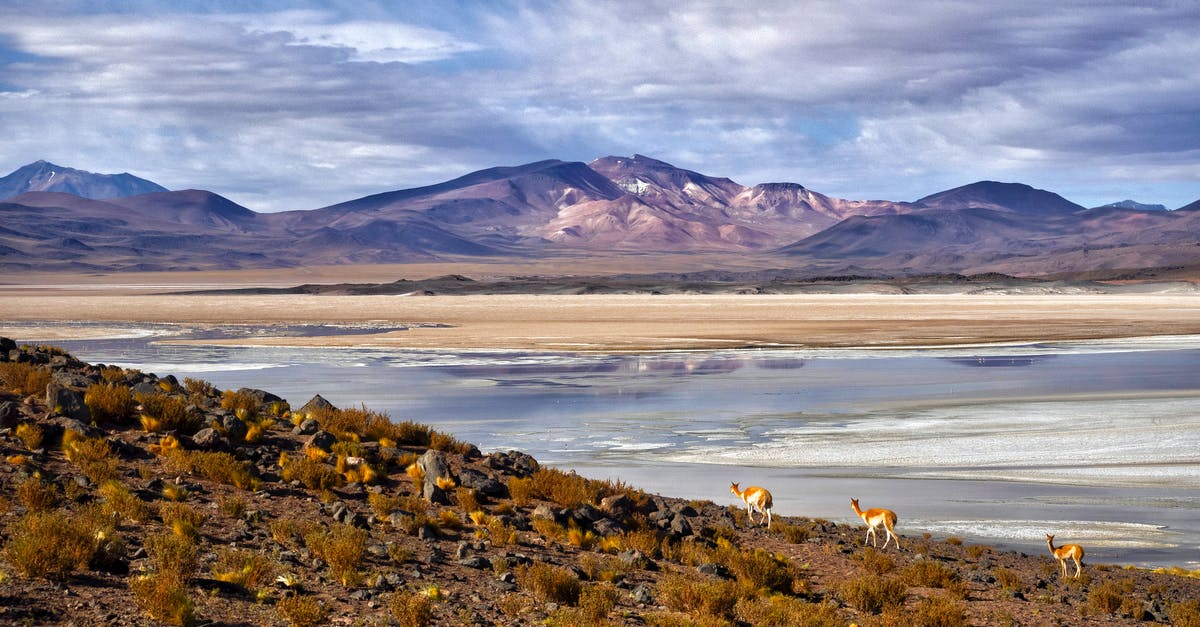 Transport Calama <-> San Pedro de Atacama, Chile [closed] - Free stock photo of arid, atacama, beatiful landscape