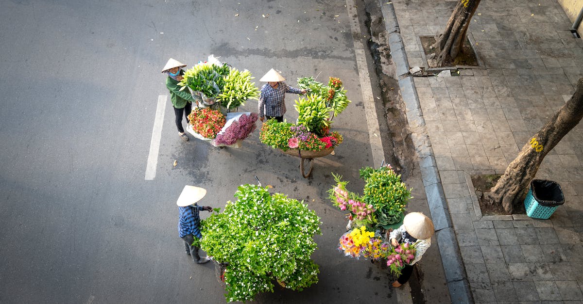 Transport options from Ha Tien, Vietnam to Kep, Cambodia - From above of unrecognizable people in Vietnam conical hats standing near bicycles with baskets of flowers for sale on street