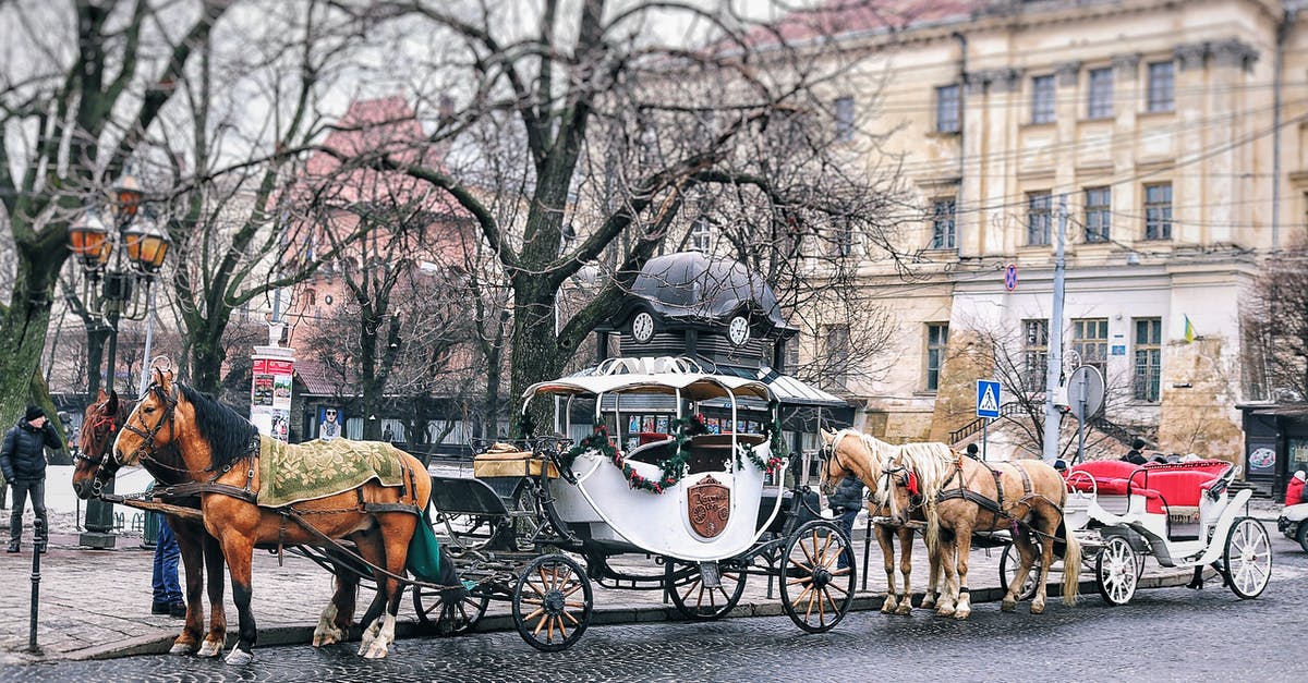 Transporting horses interstate DOT - Brown Horses With Carriage Near Building