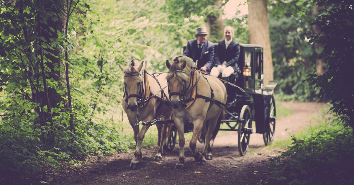 Transporting horses interstate DOT - Two Man On A Carriage With Horse