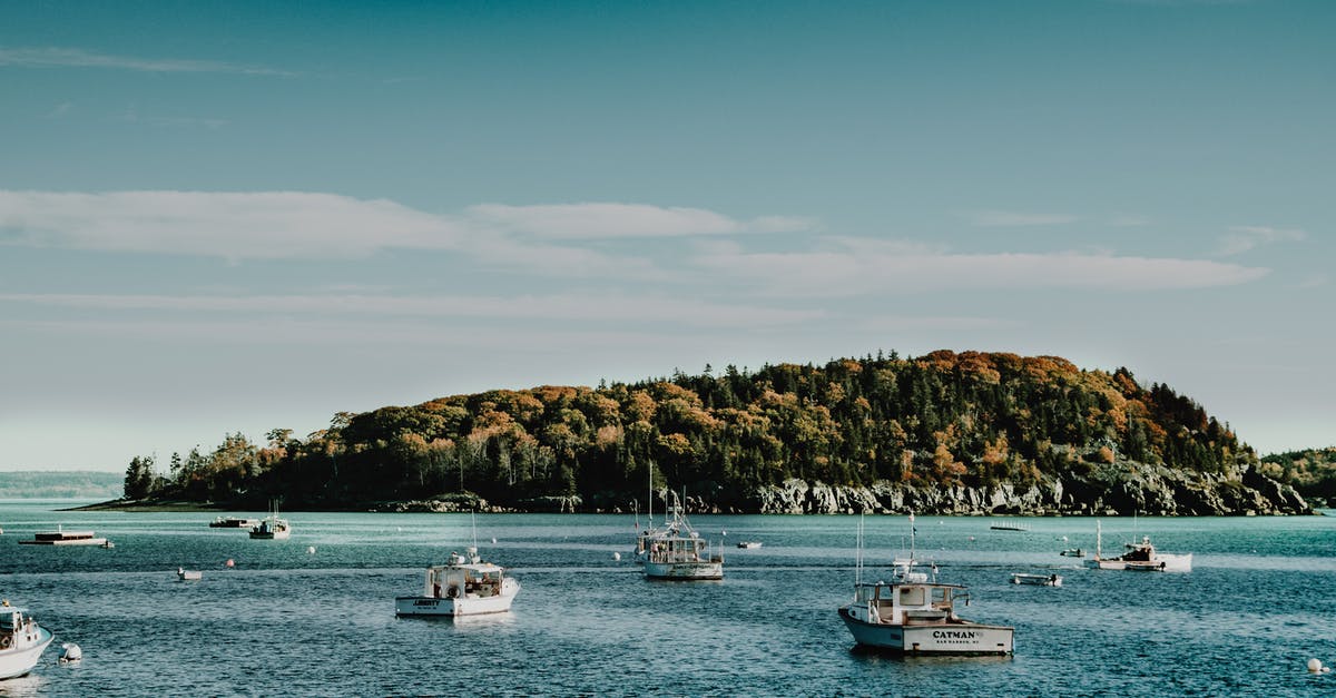 Travel by ship from India to Canada - White Boats on Body of Water