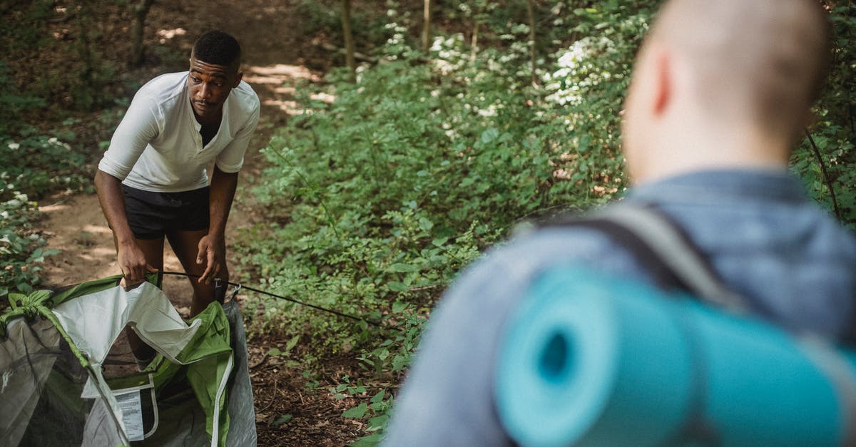 Travel Companion Programs? - Unrecognizable male backpacker standing and looking at African American guy in shorts setting up tent in forest on sunny day