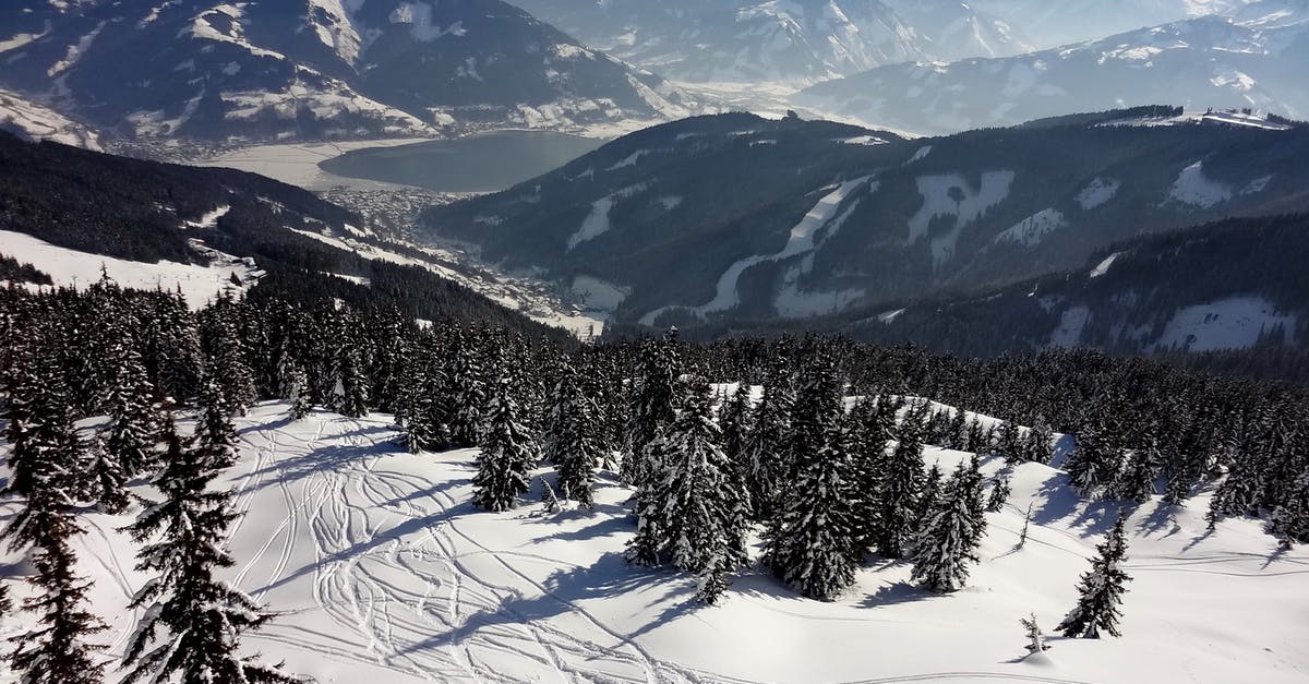 Travel from Arabba Ski Region to Venice - From above of snowy slope of mountains with ski traces among evergreen woods in sunlight