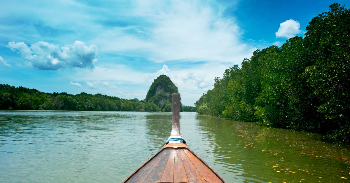 Travel from Krabi to Koh Yao Yai - Brown Wooden canoe near trees