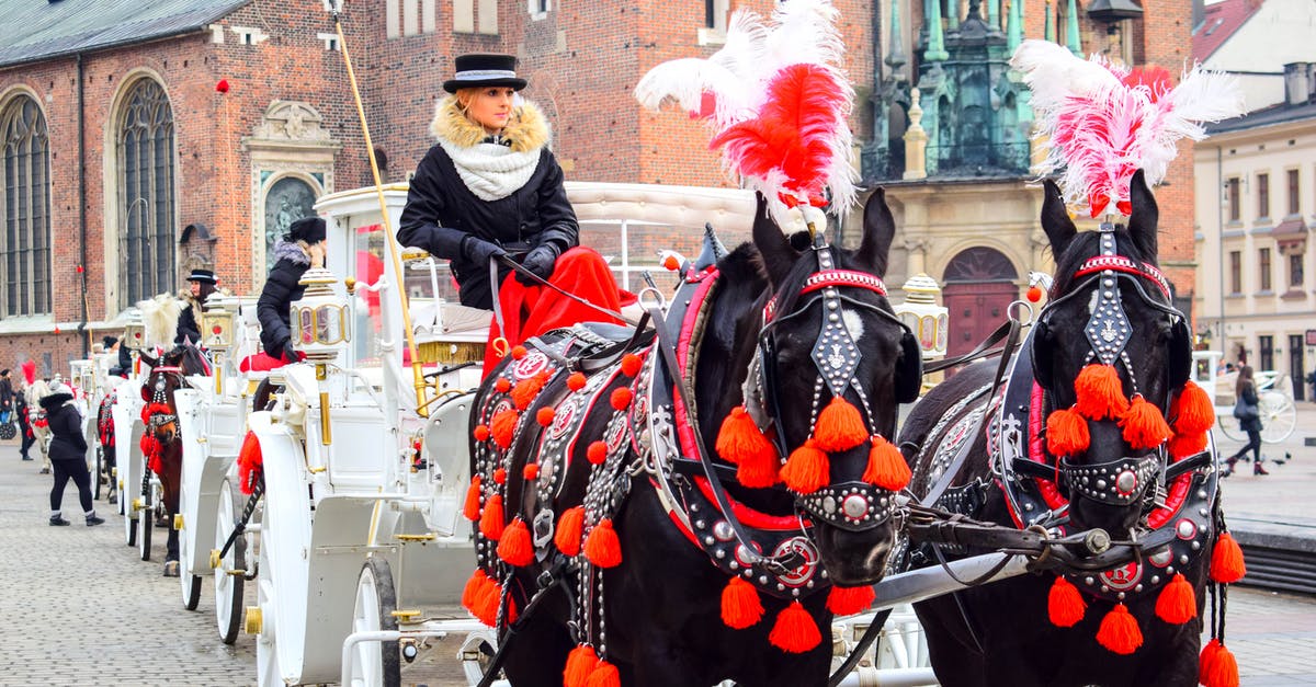 Travel from Tatranska Lomnica to Krakow city centre - Woman Riding In A Charriot