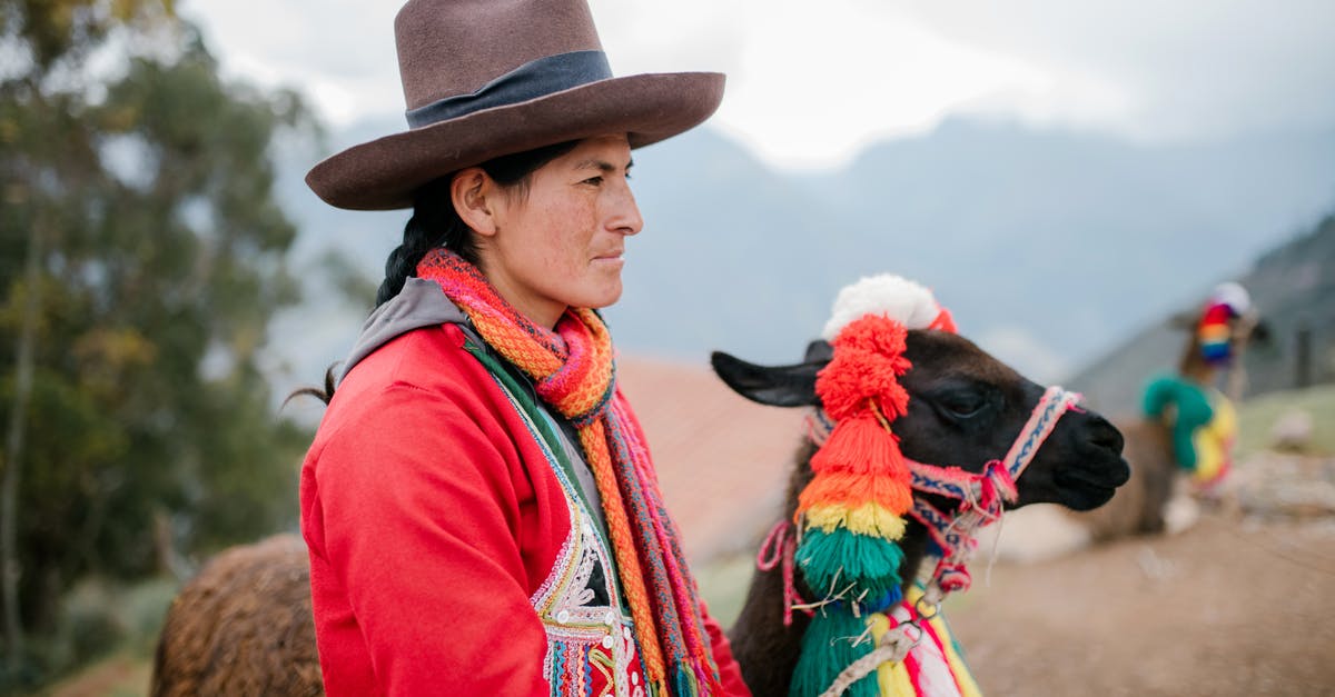 Travel through Chinese/Korean immigration/customs individually or together? - Concentrated Peruvian woman standing in village with adorable lama with multicolored tassels on head