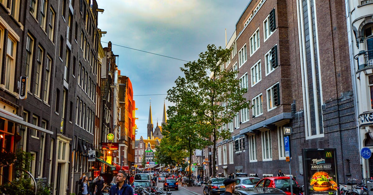 Travel to Amsterdam on Schengen business visa for tourist purpose - Man Standing in Front of Brown Concrete Building