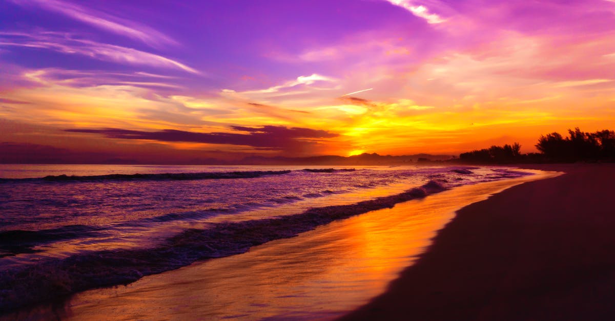 Travel to Brazil - Photo of Beach During Golden Hour