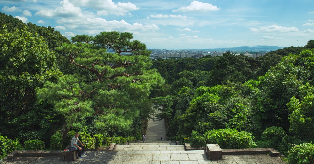 Travel to Okinawa from mainland Japan - From above of long stairway leading through lush exotic green trees under cloudy blue sky in Fushimi Momoyama Castle park