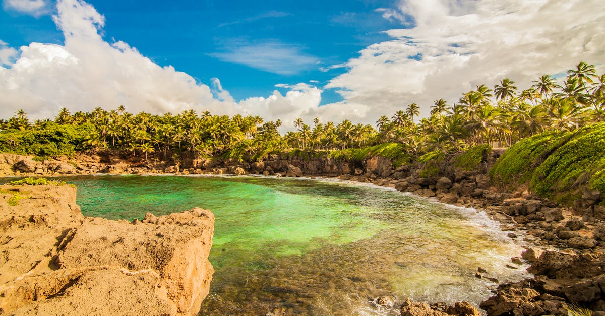 Travel to Puerto Rico - Photo Beach Surrounded by Palm Trees