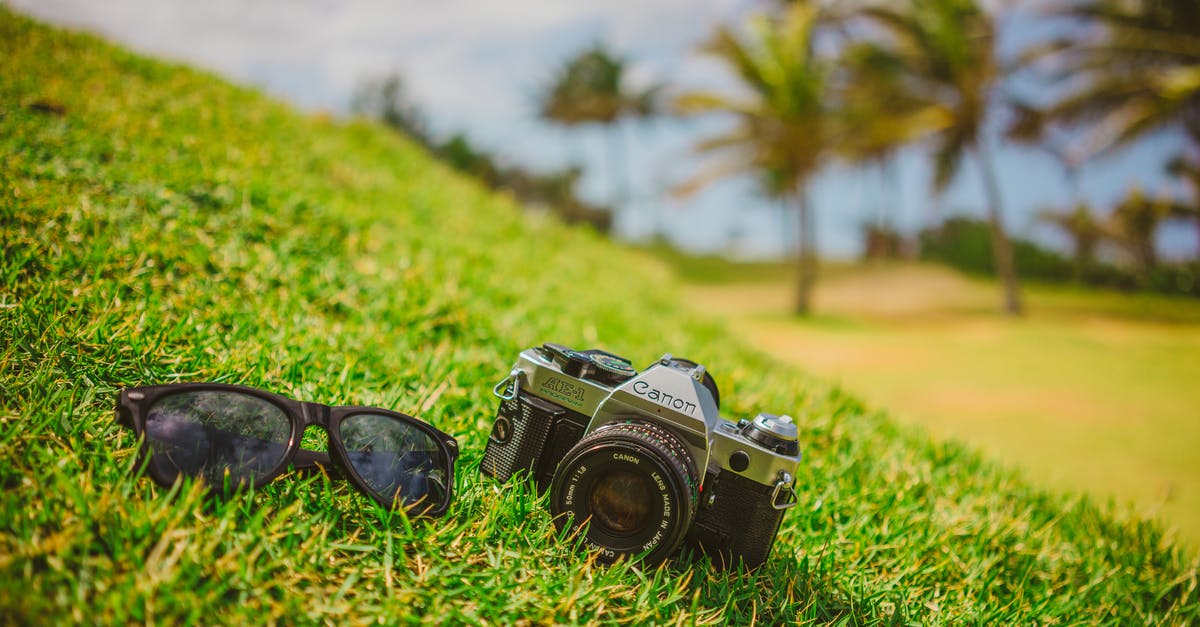 Travel to Puerto Rico - Camera and Sunglasses on Grass