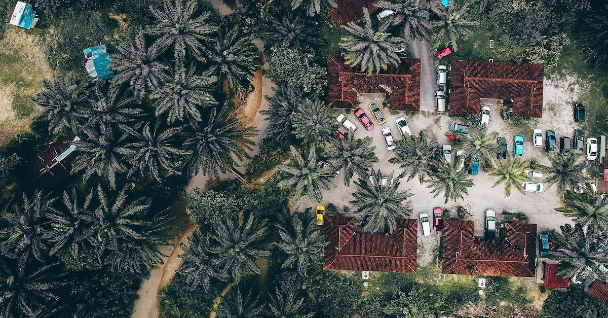 Traveler's Century Club: Something similar just for Europe? - Drone view of similar villas with red roofs located on street with parked colorful cars surrounded by green palm trees in tropical country