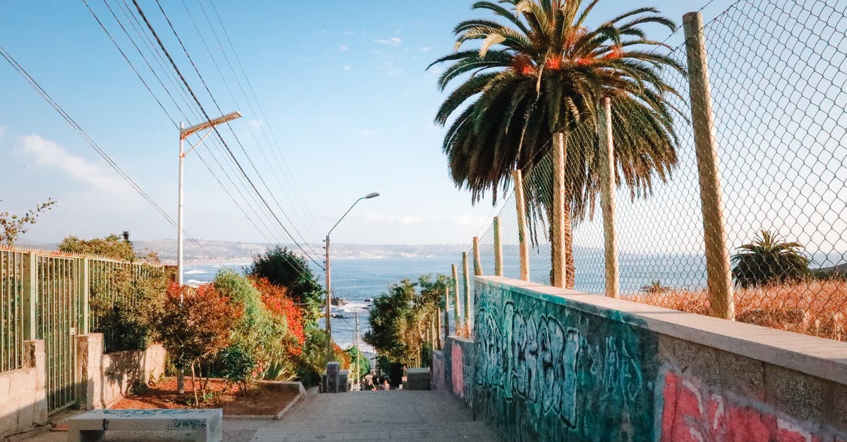 Traveling to Chile without knowing Spanish? - Pathway Near Trees and Street Posts