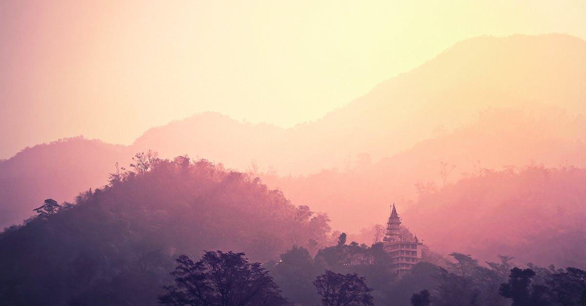 Traveling to india with toddler - Silhouette of Trees at Sunset