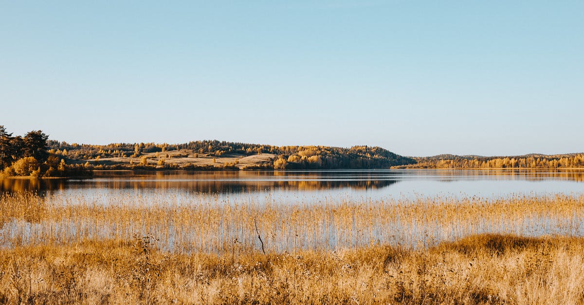 Traveling to Russia as an english speaker - Brown Grass Near Body of Water