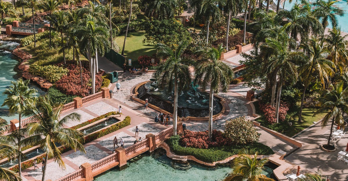 Traveling to the Bahamas now worried about robbery sexual assault - Aerial Photo of Palm Trees