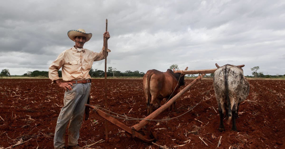 Traveling via a third country [duplicate] - Farmer and Pair of Oxen Plowing Land