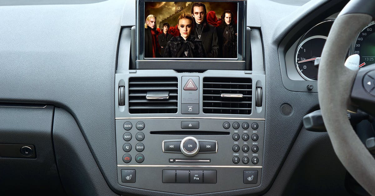 Traveling with 24inch monitor - Vehicle Stereo With Monitor