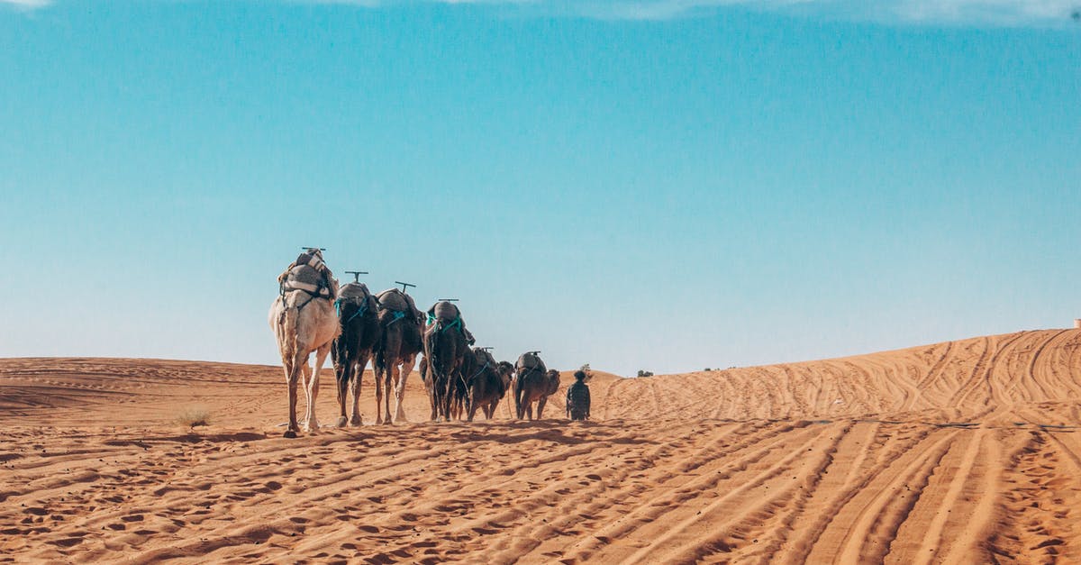 Traveling with 2 passports in case of Morocco - People Riding Camels on Desert