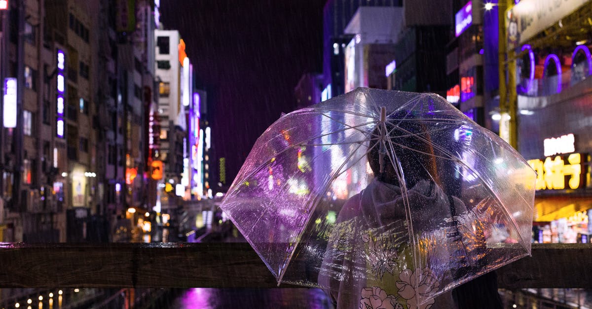 Travelling back from Japan to EU [closed] - Photo of a Person Holding an Umbrella