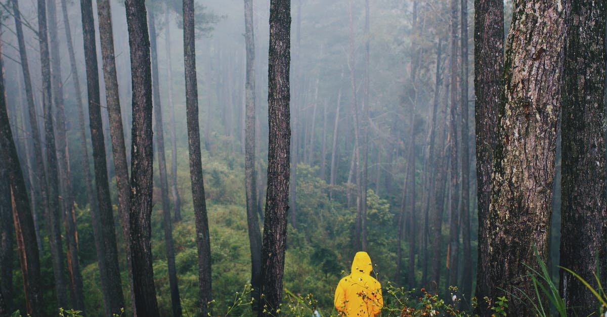 Travelling back to Indonesia with Dual citizenship [duplicate] - Photo of Person in Yellow Jacket Standing in Forest